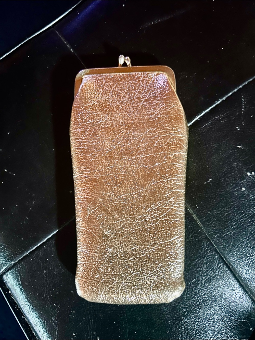 Vintage Metallic Glass 👓 Cases